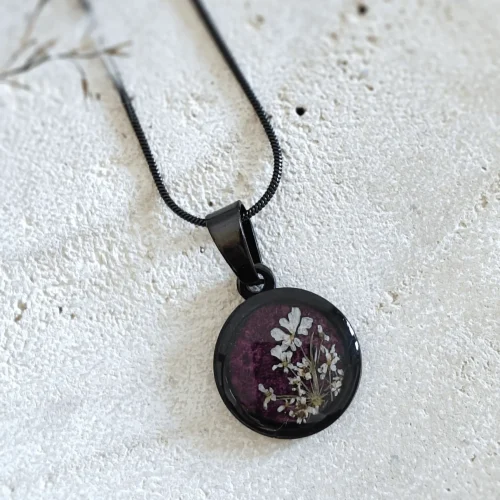 dzika marchew fiolet