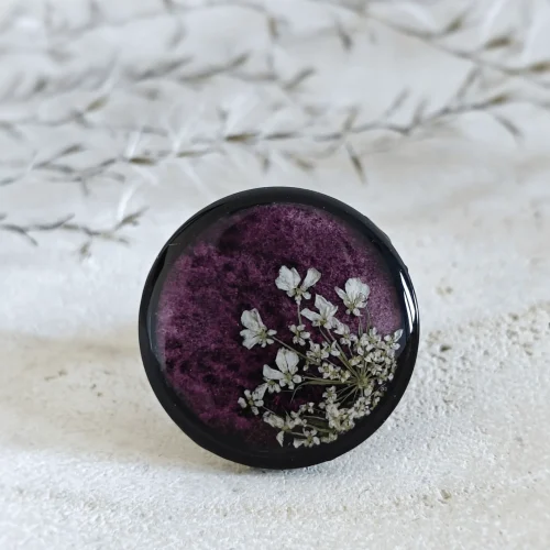 dzika marchew fiolet