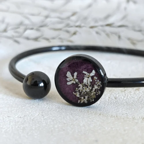 dzika marchew fiolet