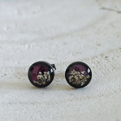 dzika marchew fiolet